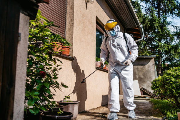 Best Pest Removal Services  in Polk City, IA