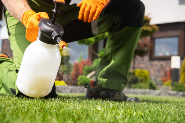 Best Residential Pest Control  in Polk City, IA