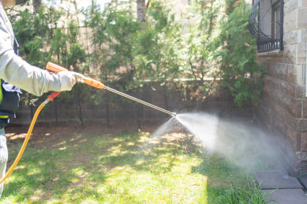 Reliable Polk City, IA Pest Control Solutions