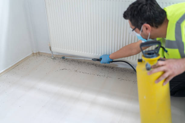 Best Cockroach Control Services  in Polk City, IA